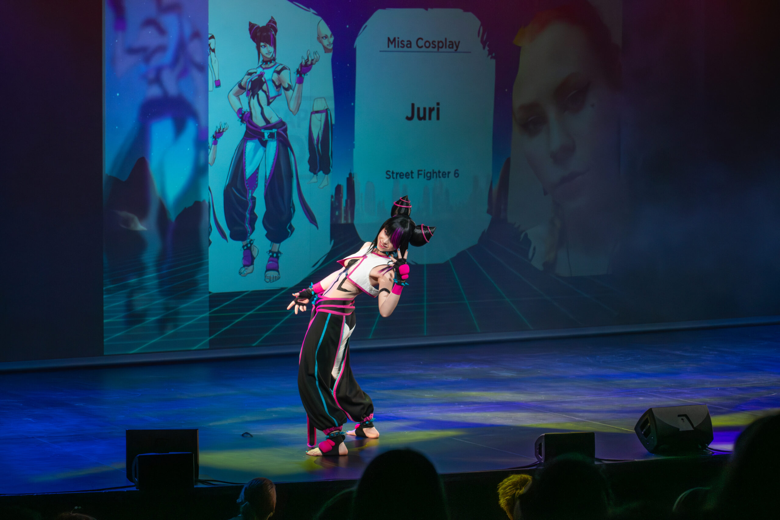 En bild från cosplay tävlingen 2024